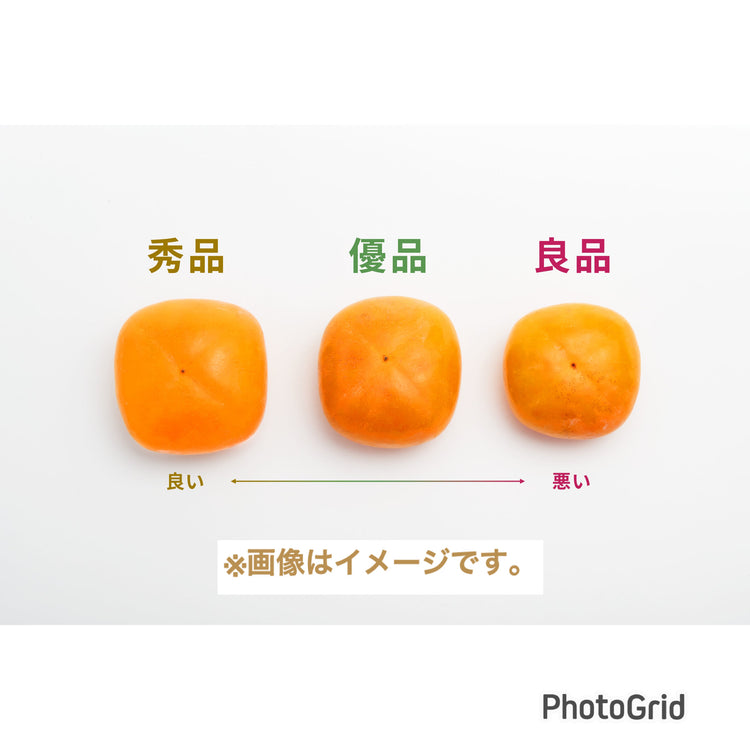 【刀根早生】<ご家庭用に最適!>(優品)7.5kg段ボール箱入り 21〜30玉