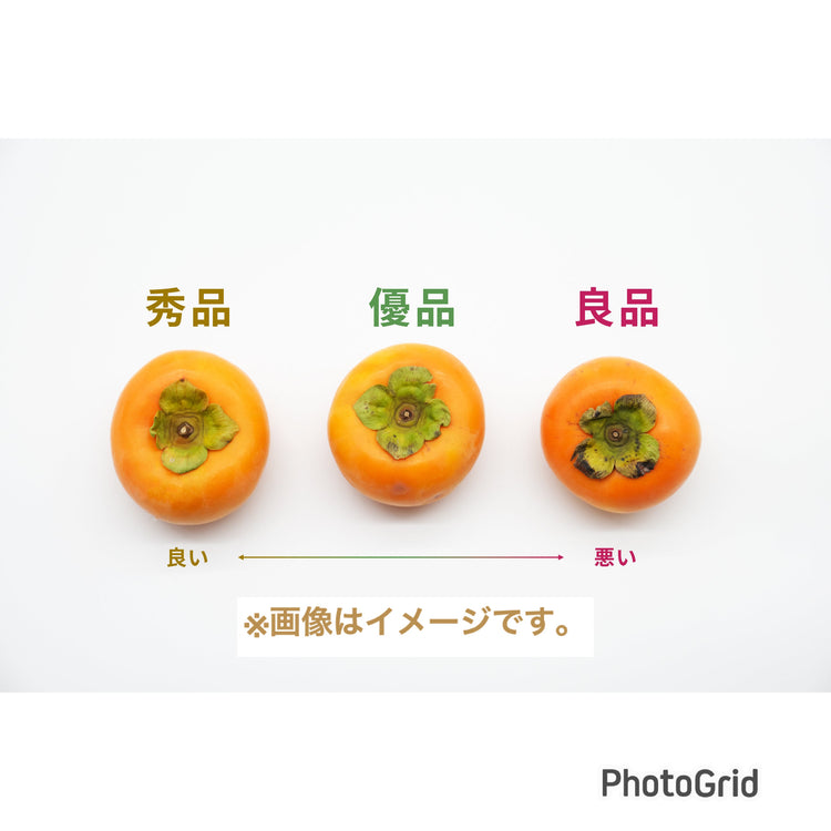 【富有柿】<贈り物用に最適!>イチオシ商品!!(秀品)4.0kg化粧箱入り 9〜14玉