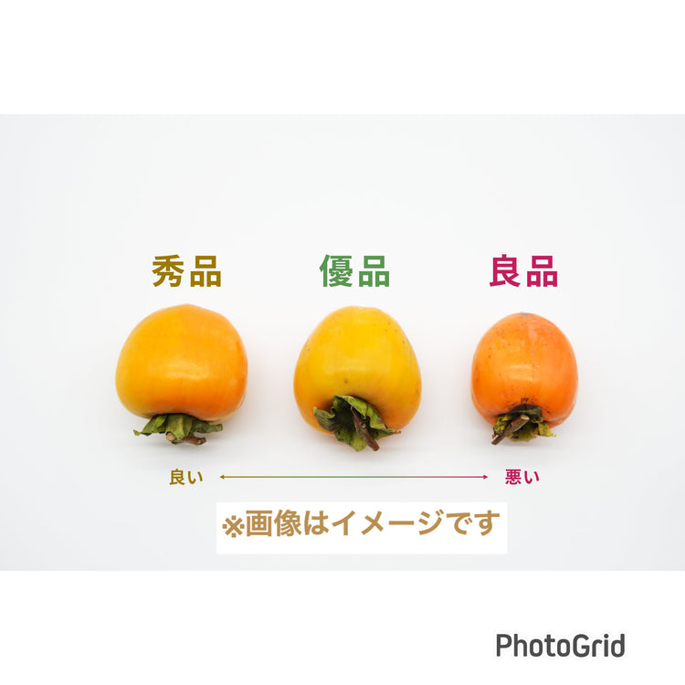 【江戸柿】<干柿や熟柿に!>(優品)3.5kg段ボール箱入り 8〜10玉 300~400g