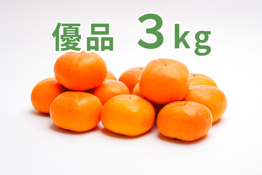 【刀根早生】<ご家庭用に最適!>まずはお試し!(優品)3.0kg化粧箱入り 9〜12玉