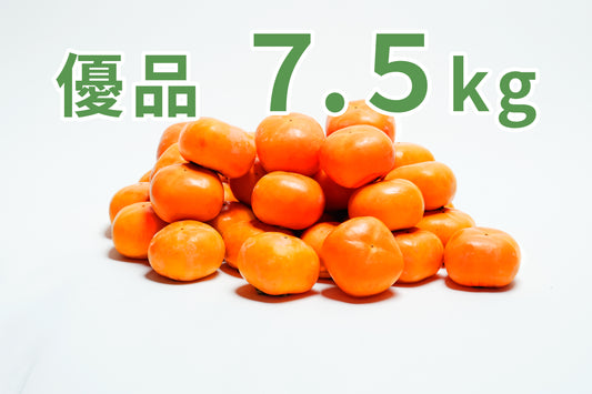 【刀根早生】<ご家庭用に最適!>(優品)7.5kg段ボール箱入り 21〜30玉