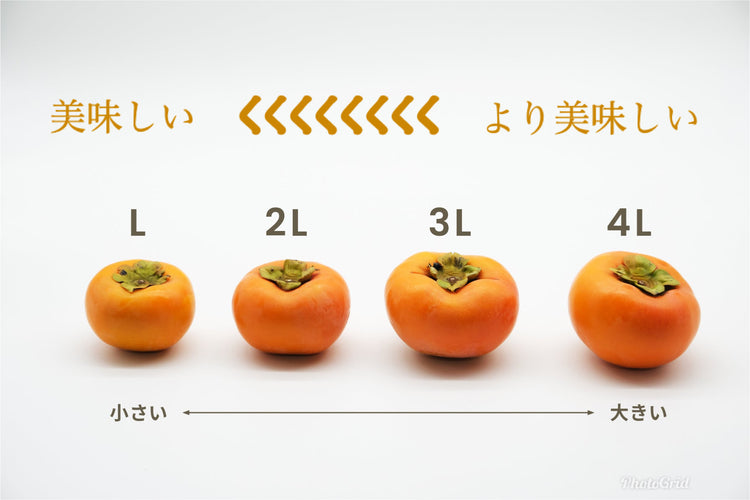 【富有柿】<贈り物用に最適!>イチオシ商品!!(秀品)4.0kg化粧箱入り 9〜14玉