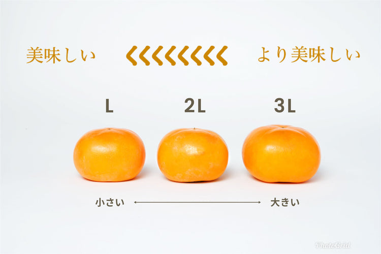 【刀根早生】<ご家庭用に最適!>(優品)7.5kg段ボール箱入り 21〜30玉