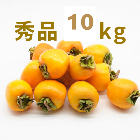 【江戸柿】<干し柿や熟柿に!>(秀品)10kg段ボール箱入り 30〜36玉 300~400g