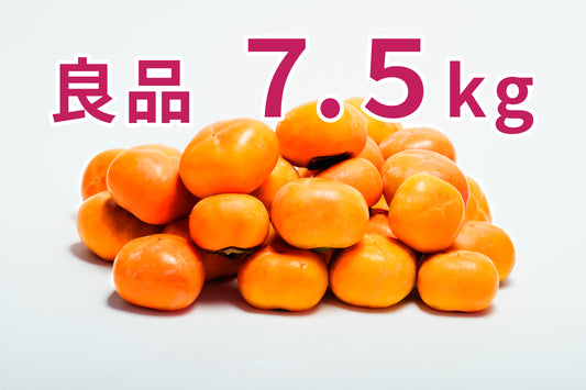 【刀根早生】<ご家庭用に最適!>(良品)7.5kg段ボール箱入り 28〜32玉 M〜2Lサイズ