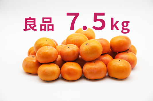 【富有柿】<ワケあり品を格安で!>(良品)7.5kg段ボール箱入り 24〜28玉 M〜2Lサイズ