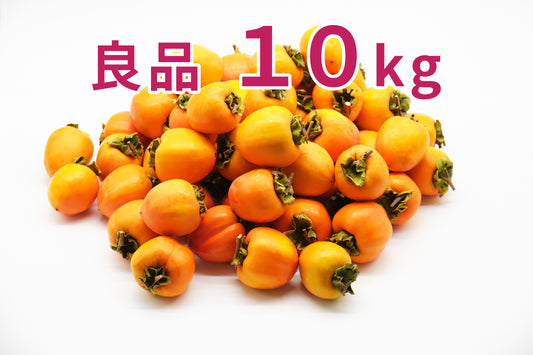 【江戸柿】<干柿・釣るし柿用>(良品)10kg段ボール箱入り 30~36玉 (1玉300~400g)