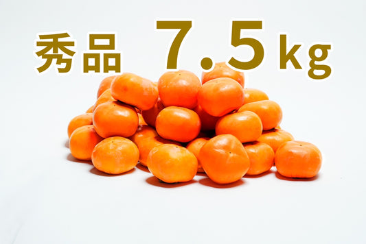 【刀根早生】＜贈り物用に最適！＞（秀品）7.5kg段ボール箱入り 20～28玉